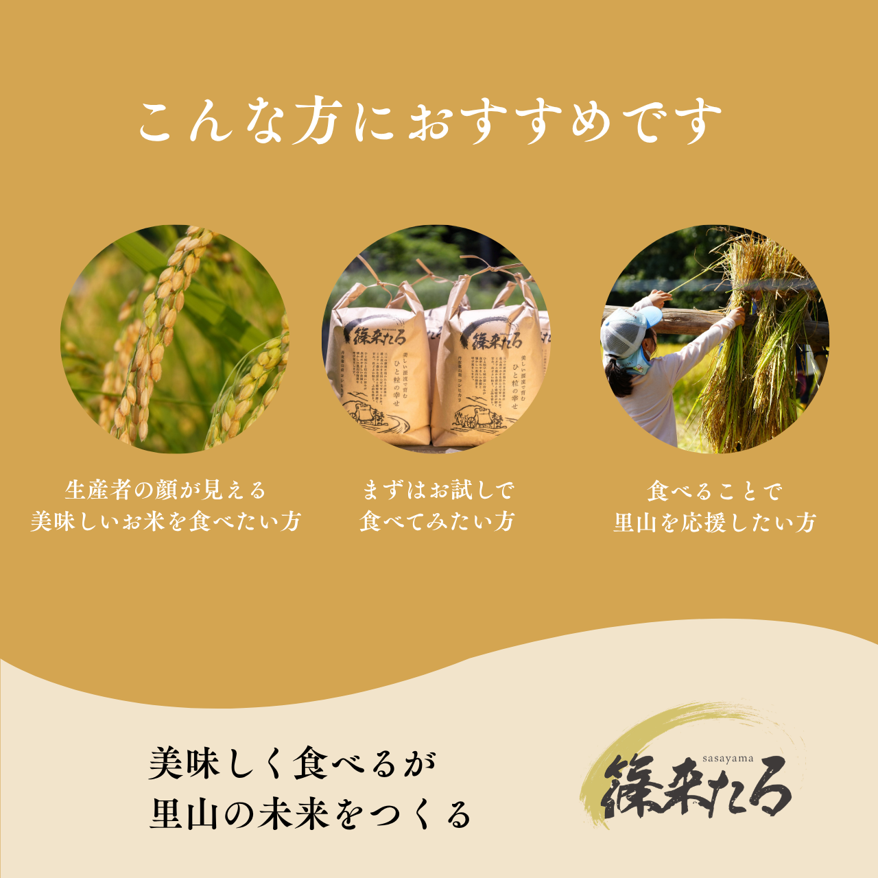 『篠来たる』源流のお米 新米5kgお試しプラン(単発商品)