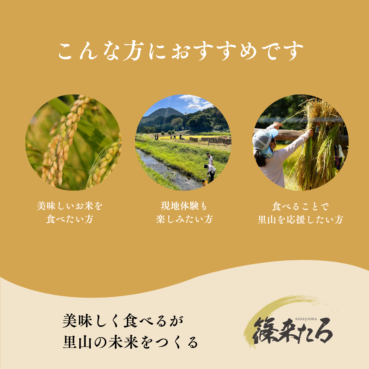 ★『篠来たる』源流のお米 玄米30kg×年2回 現地手渡し・もっと応援プラン