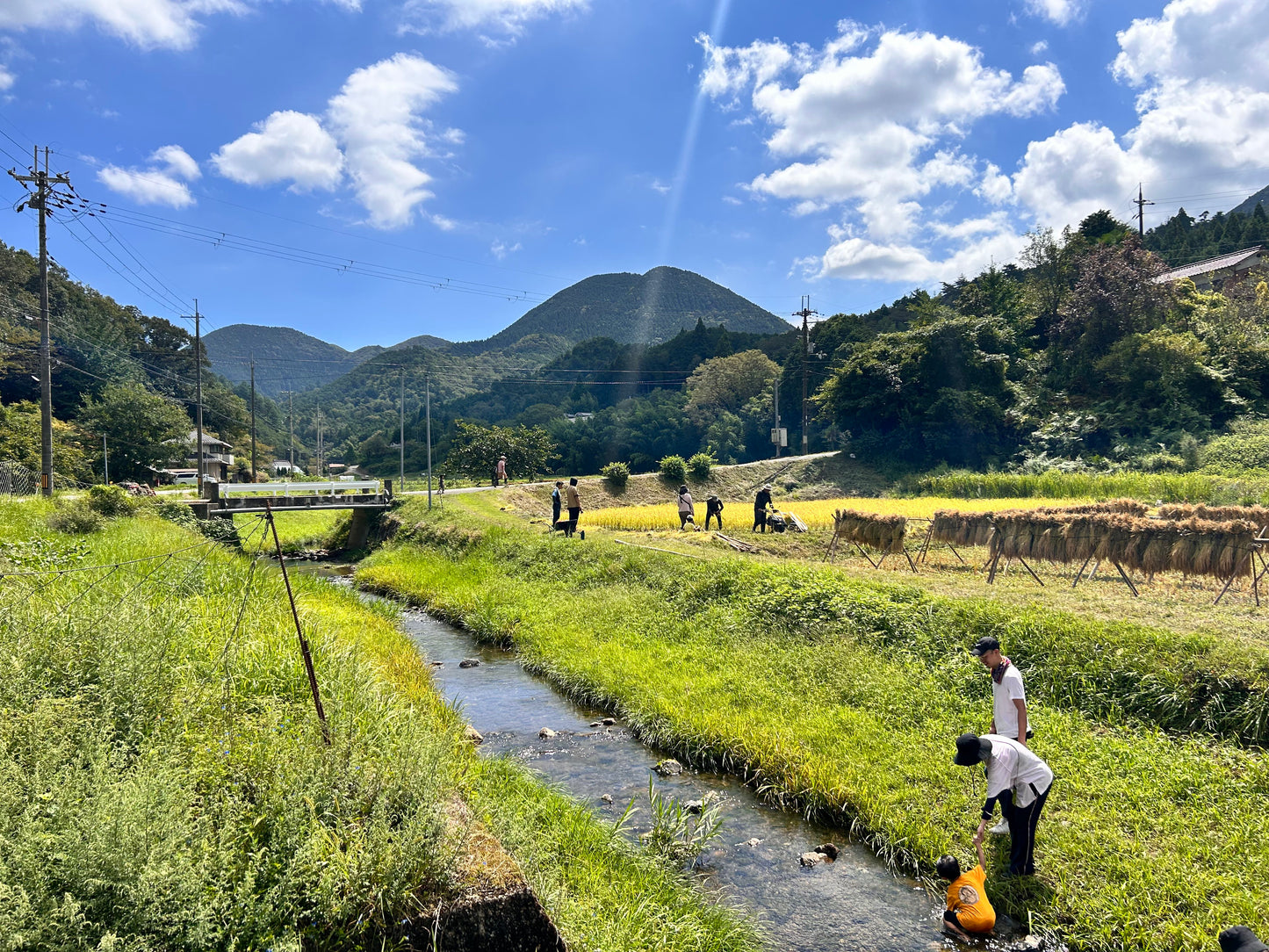 10月スタート!『篠来たる』源流の水で育てたお米の定期便 (送料無料)
