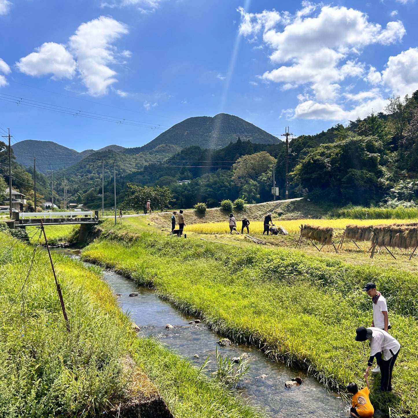 『篠来たる』源流の水で育てたお米の定期便(30kg×年2回 現地受け取りプラン)