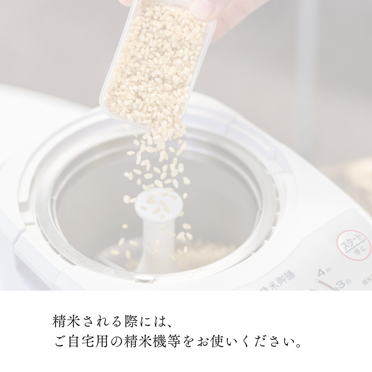 『篠来たる』源流のお米 玄米5kgお試しプラン(単発商品)