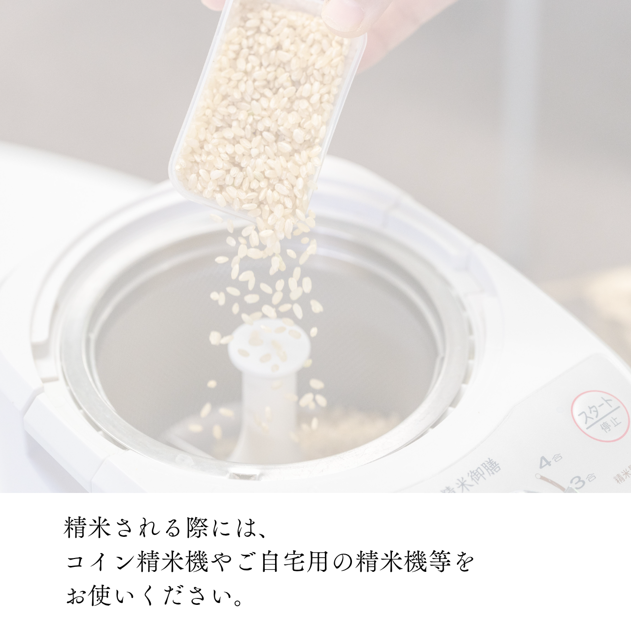 『篠来たる』源流のお米 玄米30kg×1回  里山に出会う・現地手渡しプラン