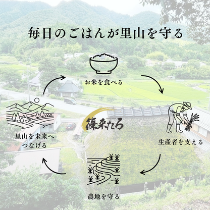 『篠来たる』源流のお米 玄米30kg×年2回  現地手渡しプラン(新米試食会・収穫体験付き)