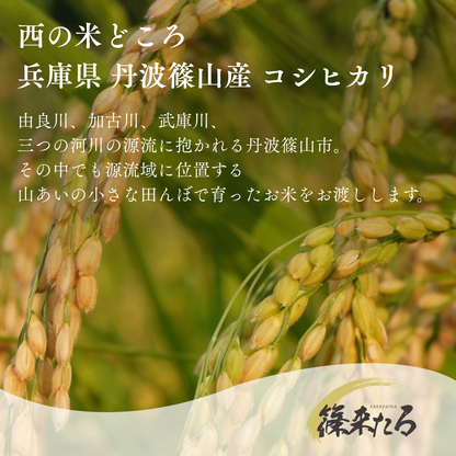 『篠来たる』源流のお米 玄米30kg×年2回  現地手渡しプラン(新米試食会・収穫体験付き)