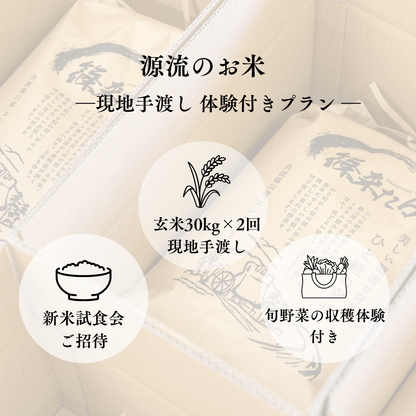 『篠来たる』源流のお米 玄米30kg×年2回  現地手渡しプラン(新米試食会・収穫体験付き)