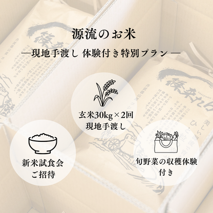 ★『篠来たる』源流のお米 玄米30kg×年2回  現地手渡し・もっと応援プラン
