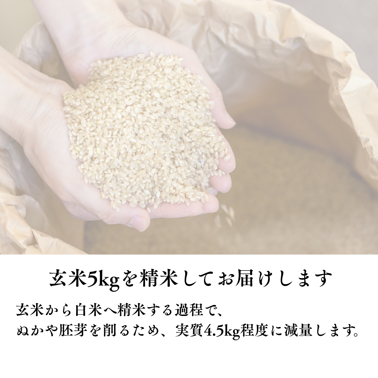 『篠来たる』源流のお米 新米５kgお試しプラン(単発商品)