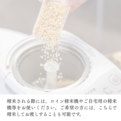 『篠来たる』源流のお米 玄米30kg×1回  里山に出会う・現地手渡しプラン