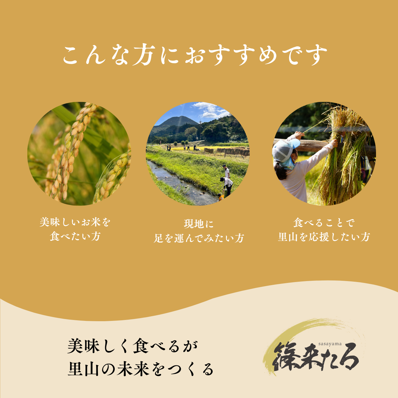 『篠来たる』源流のお米 玄米30kg×1回  里山に出会う・現地手渡しプラン