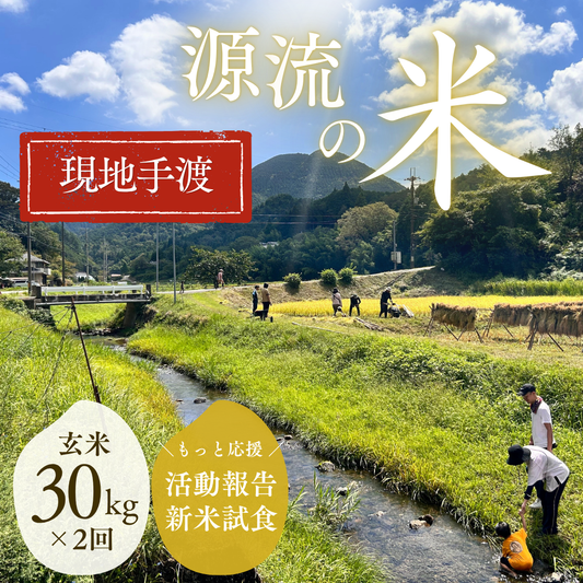 『篠来たる』源流のお米 玄米30kg×年2回  もっと応援・現地お渡しプラン