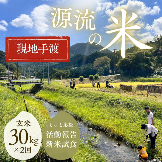 『篠来たる』源流のお米 玄米30kg×年2回  もっと応援・現地お渡しプラン