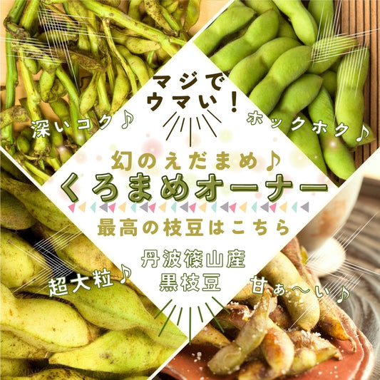 耕作放棄地で育てた黒枝豆  4kg(10月より販売)