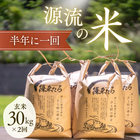 『篠来たる』源流のお米 30kg×年2回の郵送プラン