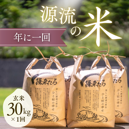 『篠来たる』源流のお米 30kg×年1回の郵送プラン
