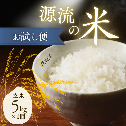 『篠来たる』源流のお米 玄米5kgお試しプラン(単発商品)