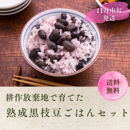 耕作放棄地で育てた 熟成黒枝豆ごはんセット(11月中旬発送)