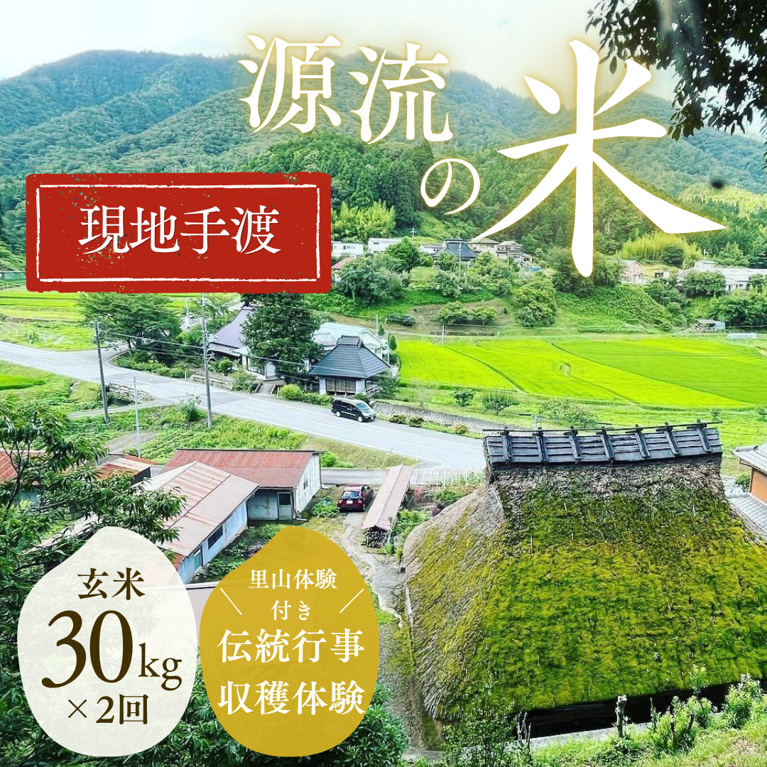 『篠来たる』源流のお米 玄米30kg×年2回  里山に通う・現地手渡しプラン