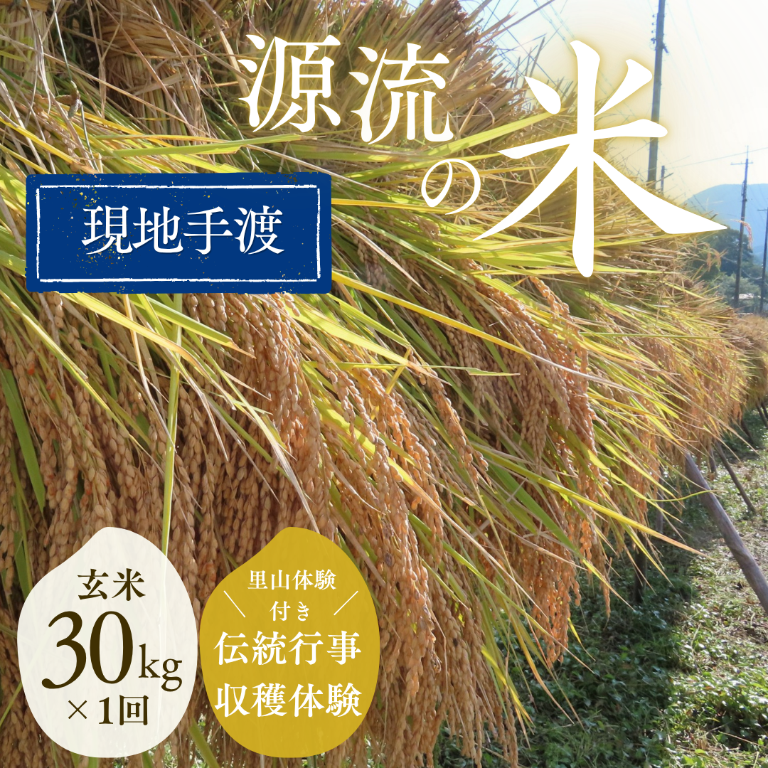 『篠来たる』源流のお米 玄米30kg×1回  里山に出会う・現地手渡しプラン