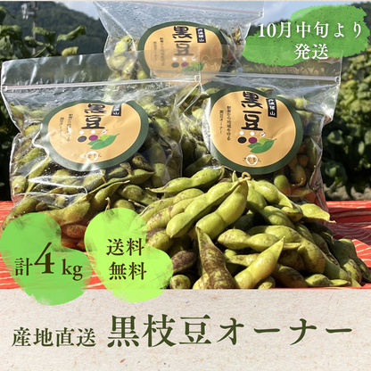 「黒枝豆オーナー」黒枝豆4kg(10月中旬よりお届け)