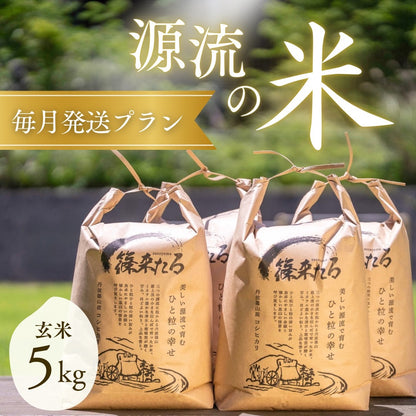 『篠来たる』源流のお米の定期便　玄米5kg×毎月発送プラン(年間契約・年79,200円)