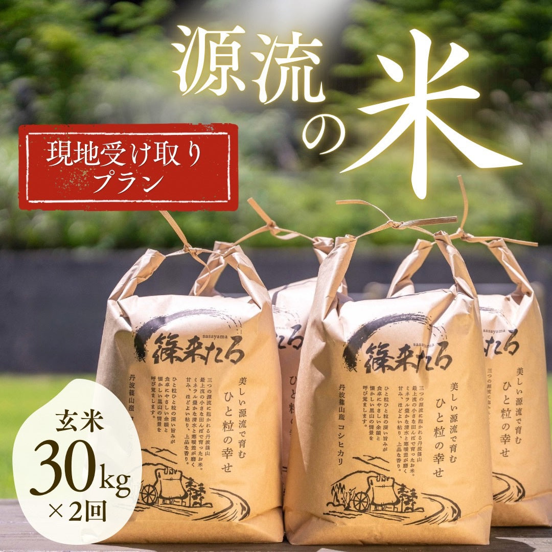 『篠来たる』源流のお米 玄米30kg×年2回（現地受け取りプラン）