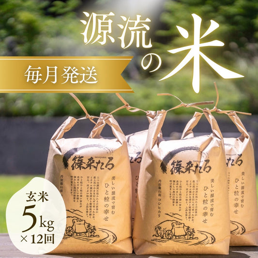 『篠来たる』源流のお米 玄米5kg×毎月の定期便プラン(年間契約・年79,200円)