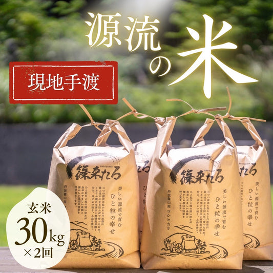 ★『篠来たる』源流のお米 玄米30kg×年2回  現地手渡し・ライトプラン