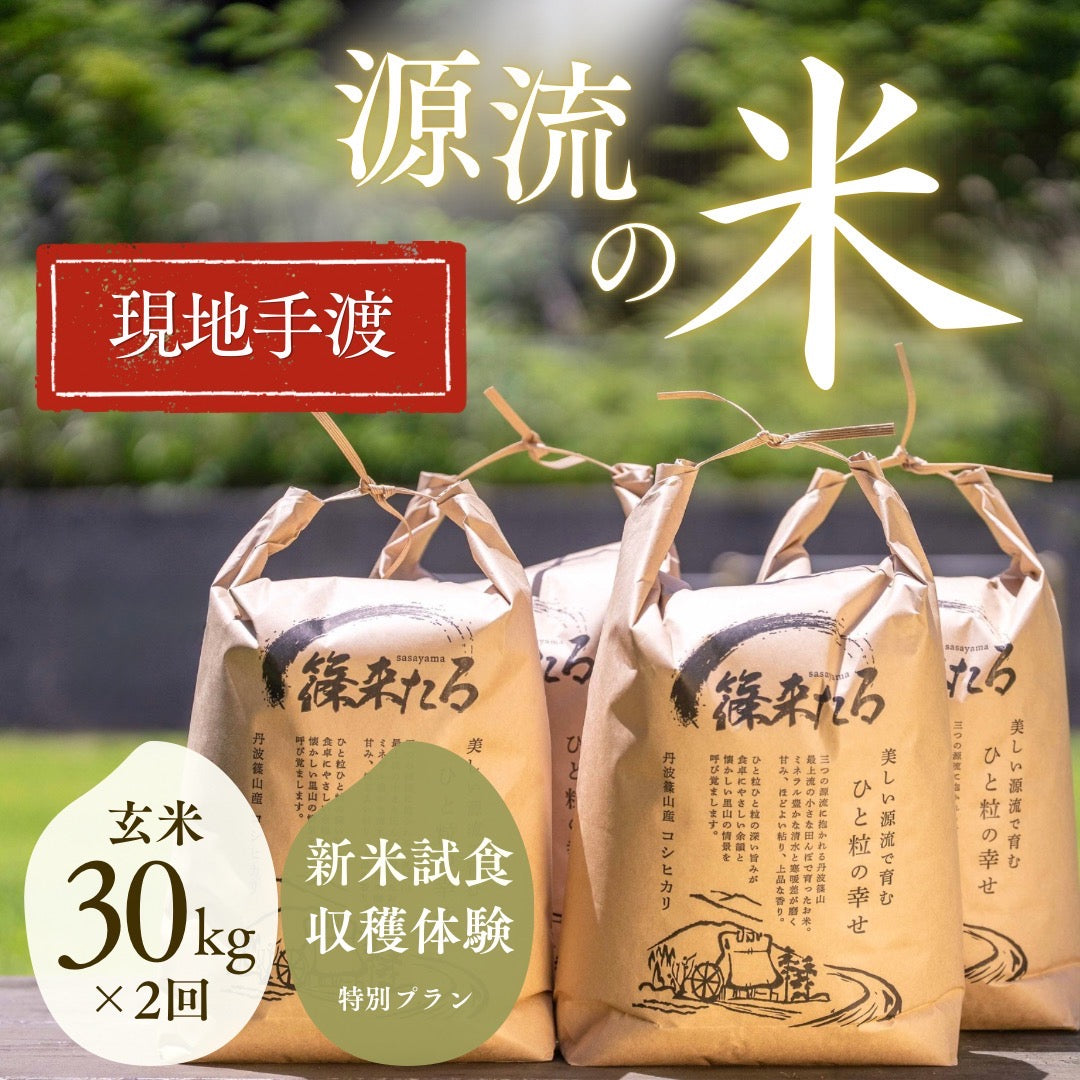 ★『篠来たる』源流のお米 玄米30kg×年2回  現地手渡し・もっと応援プラン
