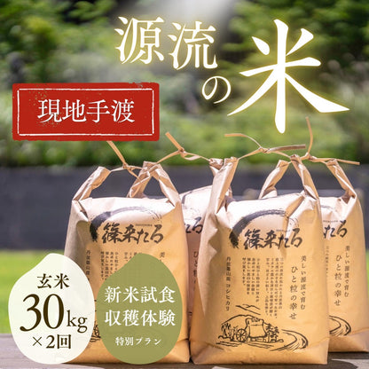 ★『篠来たる』源流のお米 玄米30kg×年2回  現地手渡し・もっと応援プラン