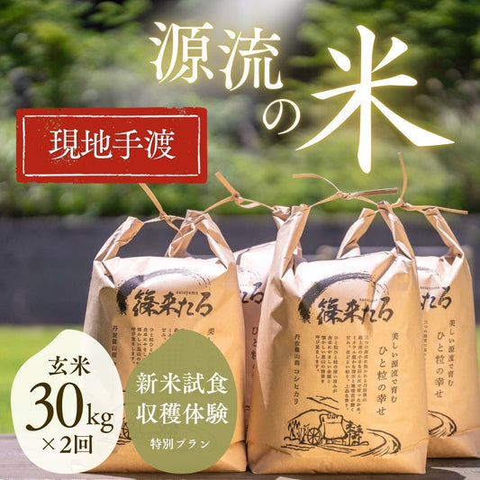 ★『篠来たる』源流のお米 玄米30kg×年2回  現地手渡し・もっと応援プラン