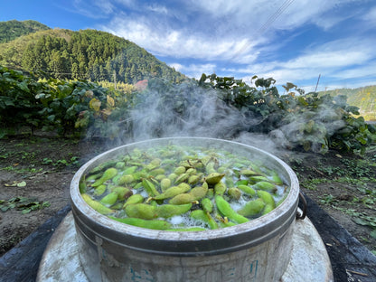 「黒枝豆オーナー」黒枝豆4kg(10月中旬よりお届け)