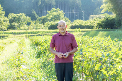 『篠来たる』オーガニック野菜の定期便　(送料無料)