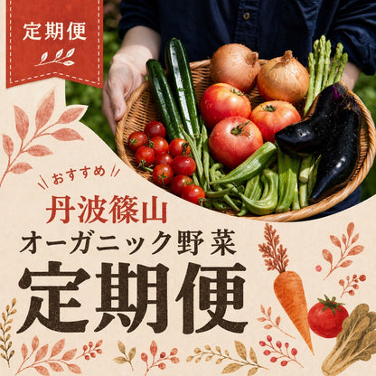『篠来たる』オーガニック野菜の定期便　(送料無料)
