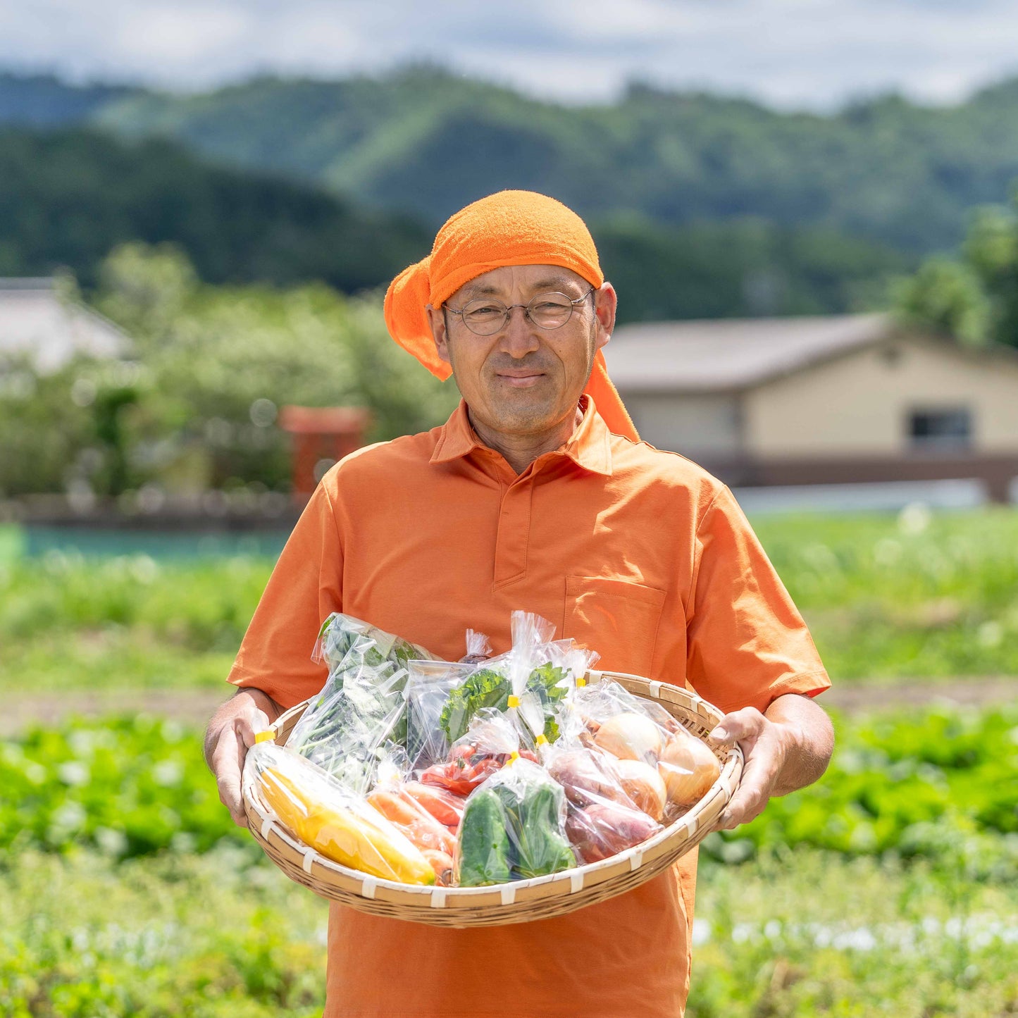 『篠来たる』オーガニック野菜7～8品×毎月の定期便プラン