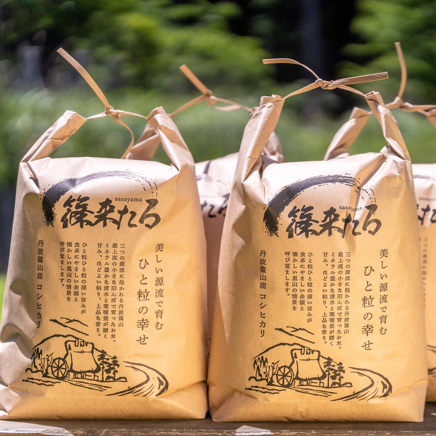 『篠来たる』源流の水で育てたお米の定期便　5kg×2か月ごとに発送プラン(年間契約・送料無料)
