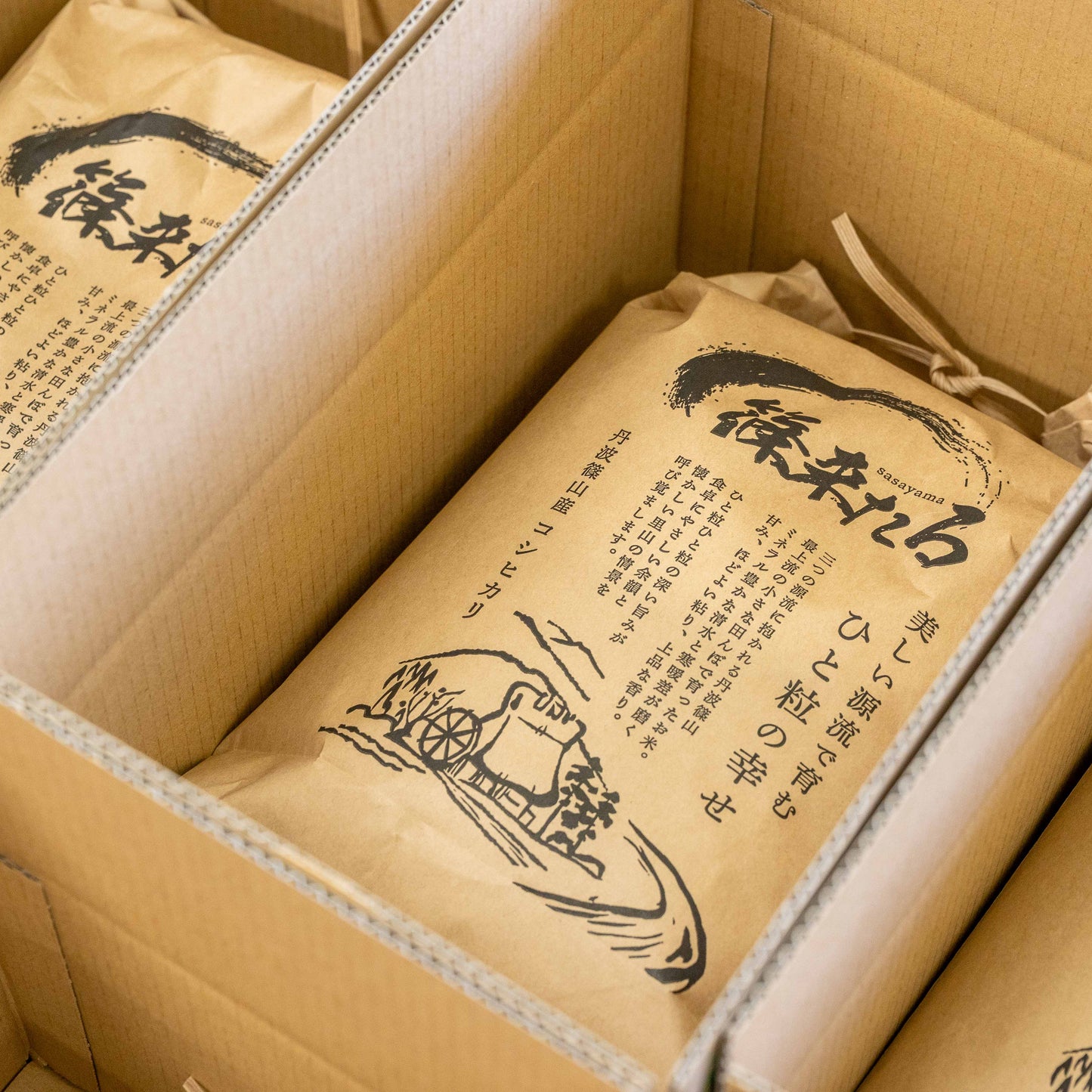 『篠来たる』源流の水で育てたお米の定期便　5kg×2か月ごとに発送プラン(年間契約・送料無料)