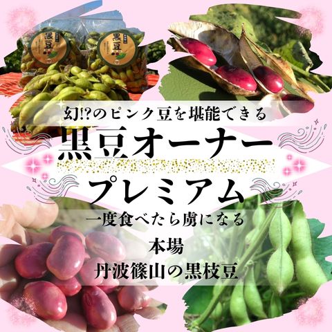 耕作放棄地で育てた黒枝豆＋熟成ピンク豆セット  5kg(10月より販売)