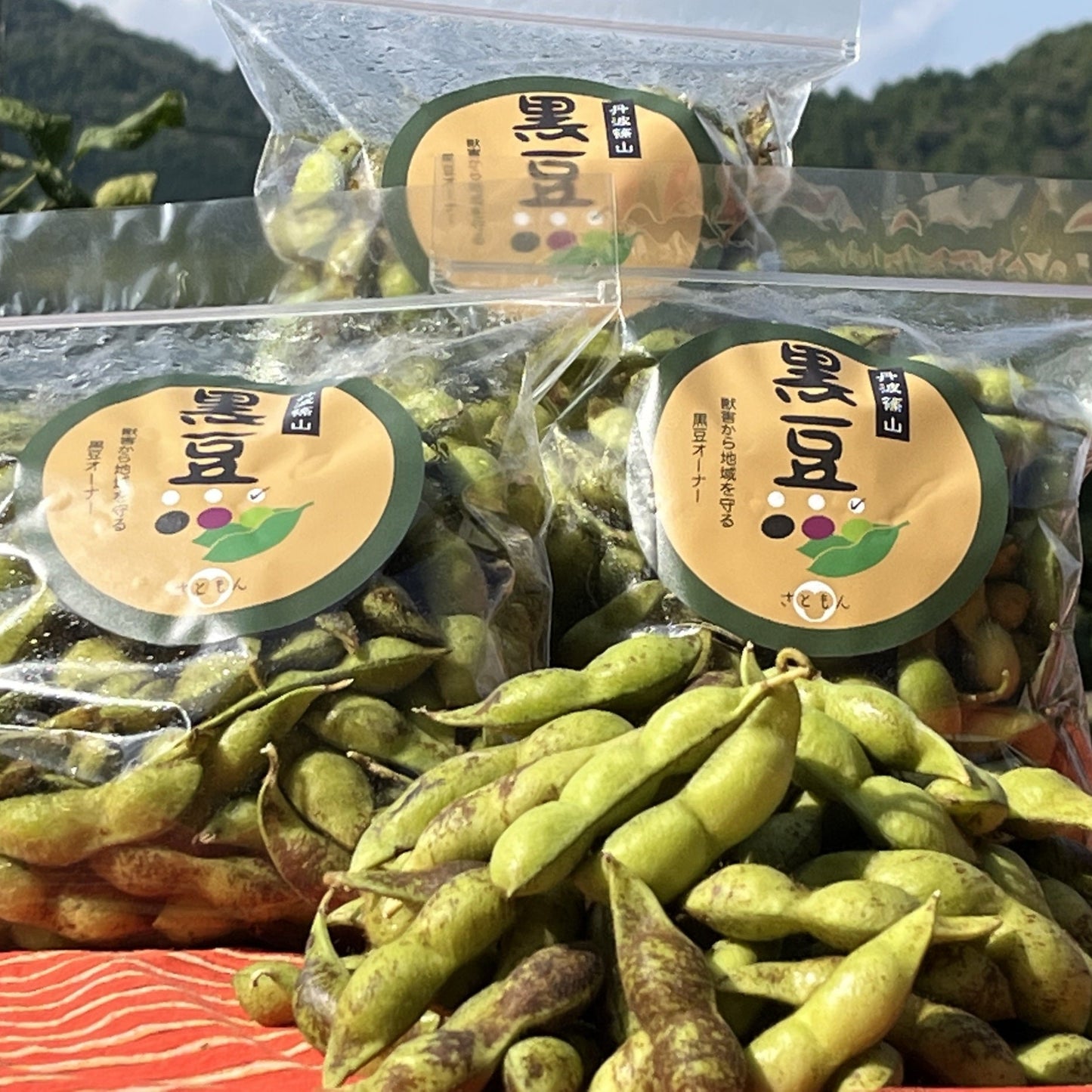 耕作放棄地で育てた黒枝豆5kg(9月より販売)